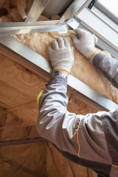 Best Residential Insulation in Rosanky, TX